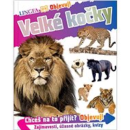 Velké kočky - 
