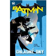 Batman Chladné dny - Tom King