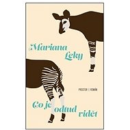 Co je odtud vidět - Mariana Leky