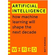 Artificial Intelligence (WIRED guides): How Machine Learning Will Shape the Next Decade - 