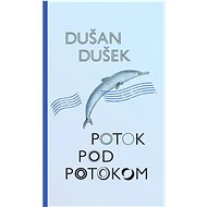 Potok pod potokom - Dušan Dušek