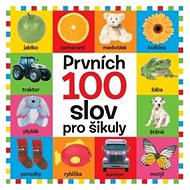 Prvních 100 slov pro šikuly - 