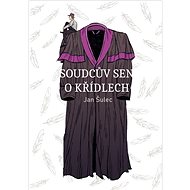 Soudcův sen o křídlech - Jan Šulec