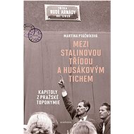 Mezi Stalinovou třídou a Husákovým tichem - Martina Ptáčníková
