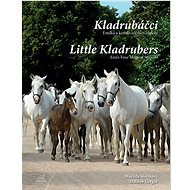 Kladrubáčci: Emilka a kouzlo ročních období - Dalibor Gregor; Marcela Slavíková