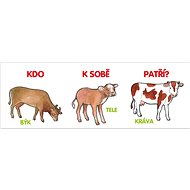 Kdo k sobě patří? - 