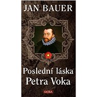 Poslední láska Petra Voka - Jan Bauer