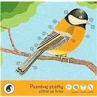 Poznávej ptáčky: učíme se hrou - Jitka Musilová