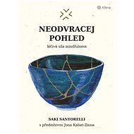 Neodvracej pohled: Léčivá síla mindfulness - Saki Santorelli