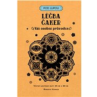Léčba čaker: Váš osobní průvodce - Roberta Vernon