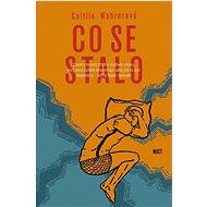 Co se stalo - Caitlin Wahrer