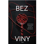 Bez viny - Charlotte Linková