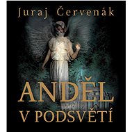 Angel in the Underworld - CD Audiobooks