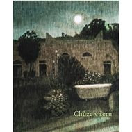 Chůze v šeru a jiné příběhy - Alžběta Skálová
