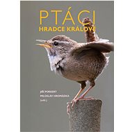 Ptáci Hradce Králové - 