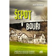 Šepot v bouři - Aleš Novotný