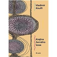 Krajina černého kosa - Vladimír Kouřil