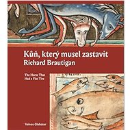 Kůň, který musel zastavit - Richard Brautigan; Olga Špilarová