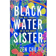 Black Water Sister - Zen Cho
