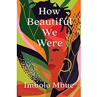 How Beautiful We Were - Imbolo Mbue