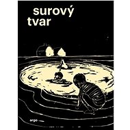 Surový tvar - Lukáš Palán