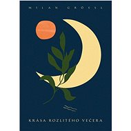 Krása rozlitého večera - Milan Grössl