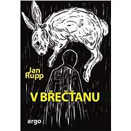 V břečťanu - Jan Rupp