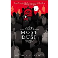 Most duší - V. E. Schwab