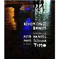 Během chůze Brnem  - Timo; Petr Daniel; Pavel Šešulka