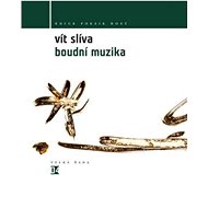Boudní muzika  - Vít Slíva