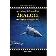 Žraloci, dokonalí vodní predátoři - Alessandro De Maddalena