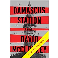 Stanice Damašek   - David McCloskey