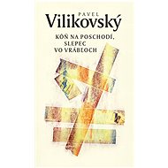 Kôň na poschodí, slepec vo Vrábľoch - Pavel Vilikovský
