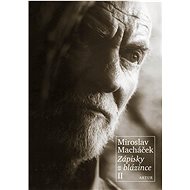 Zápisky z blázince II  - Miroslav Macháček