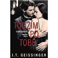 Toužím po tobě  - J. T. Geissinger