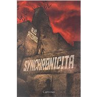 Synchronicita - Aleš Pitzmos