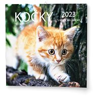 Kočky 2023 - nástěnný kalendář - Nástěnný kalendář
