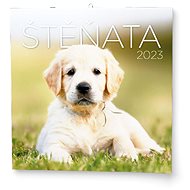 Štěňata 2023 - nástěnný kalendář - Nástěnný kalendář