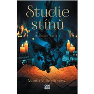 Studie stínů: Hledači duší 1 - Maria V. Snyderová