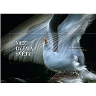 Mezi dvěma světy - Jiří Hřebíček; Nina Djakovičová