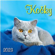 Kočky 2023 - nástěnný kalendář - Nástěnný kalendář