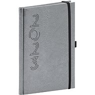 Týdenní diář Memory 2023 stříbrný - Diář