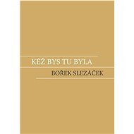 Kéž bys tu byla - Bořek Slezáček
