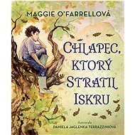Chlapec, ktorý stratil iskru - Maggie O´Farrell