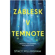 Záblesk v temnote - Stacy Willingham