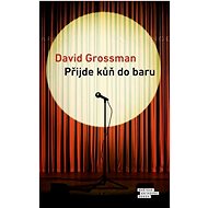 Přijde kůň do baru - David Grossman