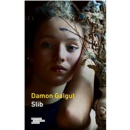 Slib - Damon Galgut