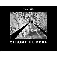 Stromy do nebe - Ivan Fíla