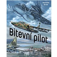 Bitevní pilot - Rostislav Stroin