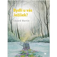 Bydlí u vás ježíšek? - Eduard Martin